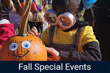 special events